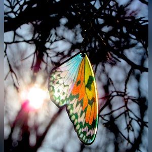 Butterfly Wing Keychain